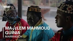 Maâlem Mahmoud Guinia