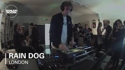 Rain Dog