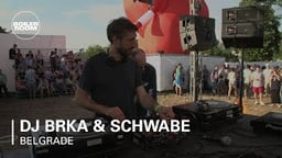 Schwabe