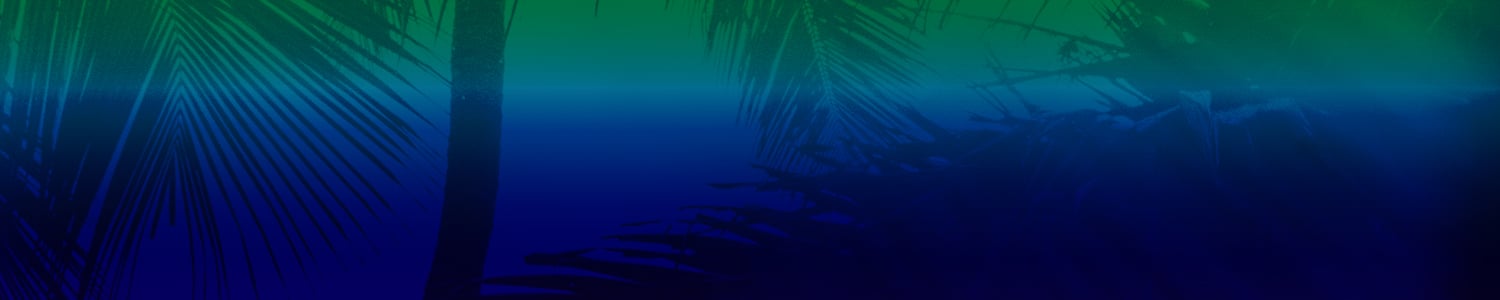Flyer for event Tulum: Traumprinz b2b DJ Metatron, Dudley Strangeways, Dasha Redkina, Uchi & more..