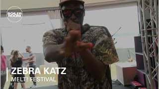 Photo of set Zebra Katz 40 Min Mix.