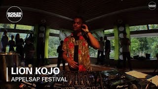 Photo of set Lion Kojo.