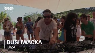 Photo of set Bushwacka.