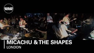 Photo of set Micachu & The Shapes.