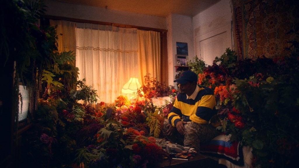 Photo of set Danny Brown: 'Best Life'.