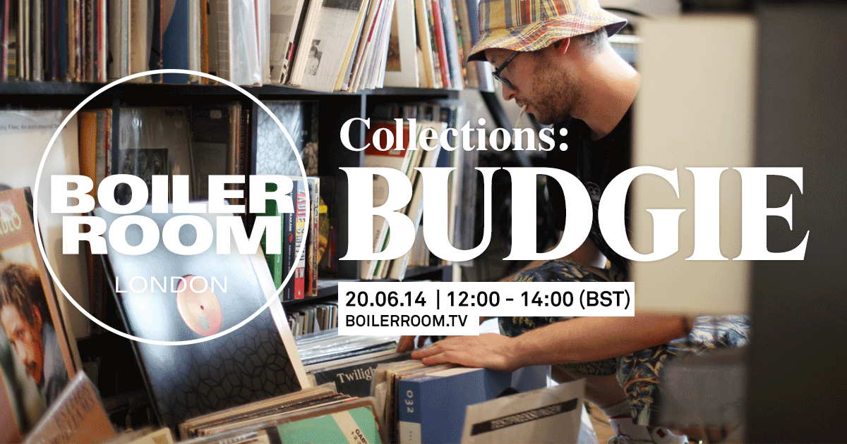 Collections: Budgie flyer