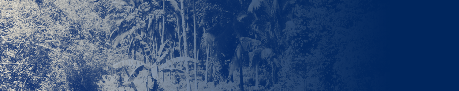 Tulum: Nicola Cruz, Matanza, El Búho, Siete Catorce, Sidartha Siliceo flyer
