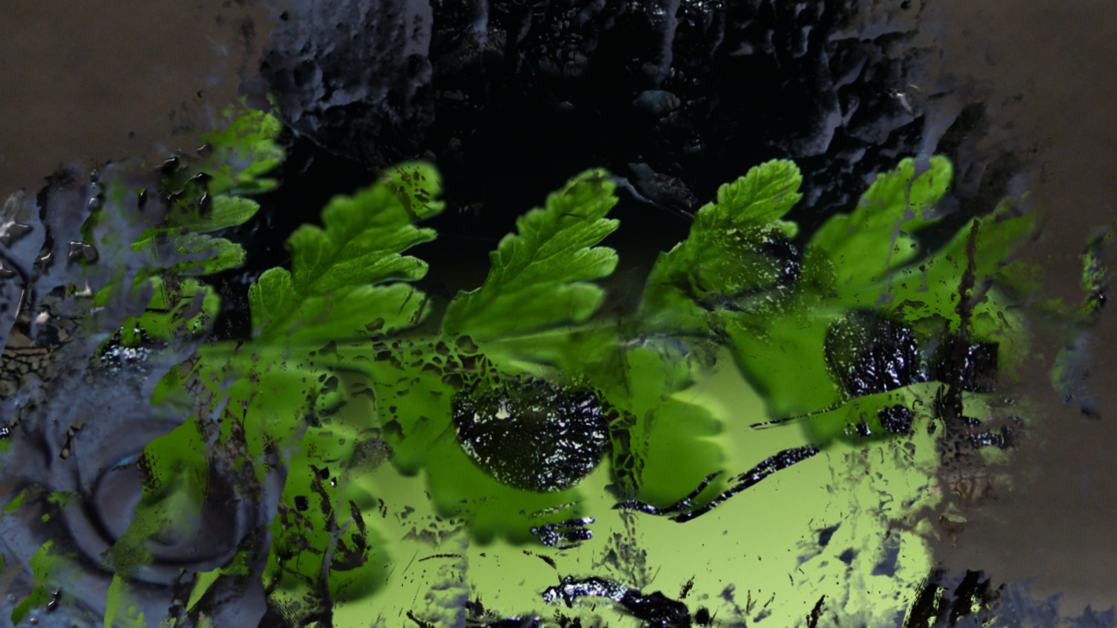 Background