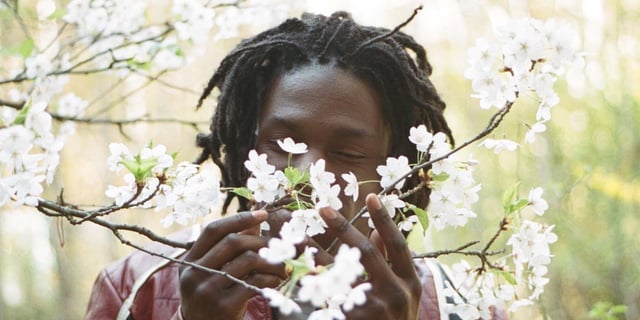 Daniel Caesar-profile-image