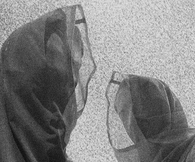 SHXCXCHCXSH-profile-image