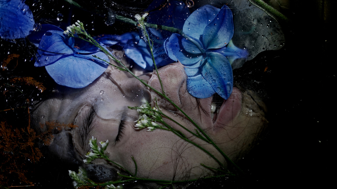 Photo of set III Japonia: 'III'.