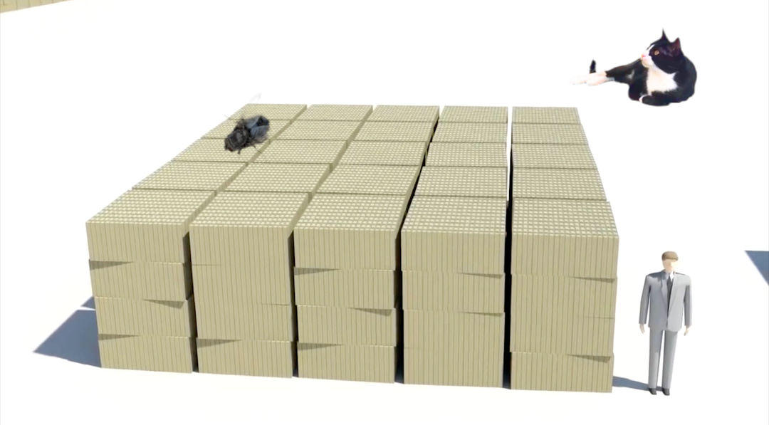 Photo of set Nate Young: 'Leisure In Decline'.