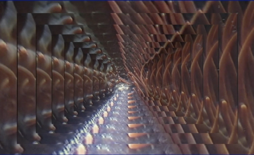 Photo of set Soho Rezanejad: 'Call For Torino'.