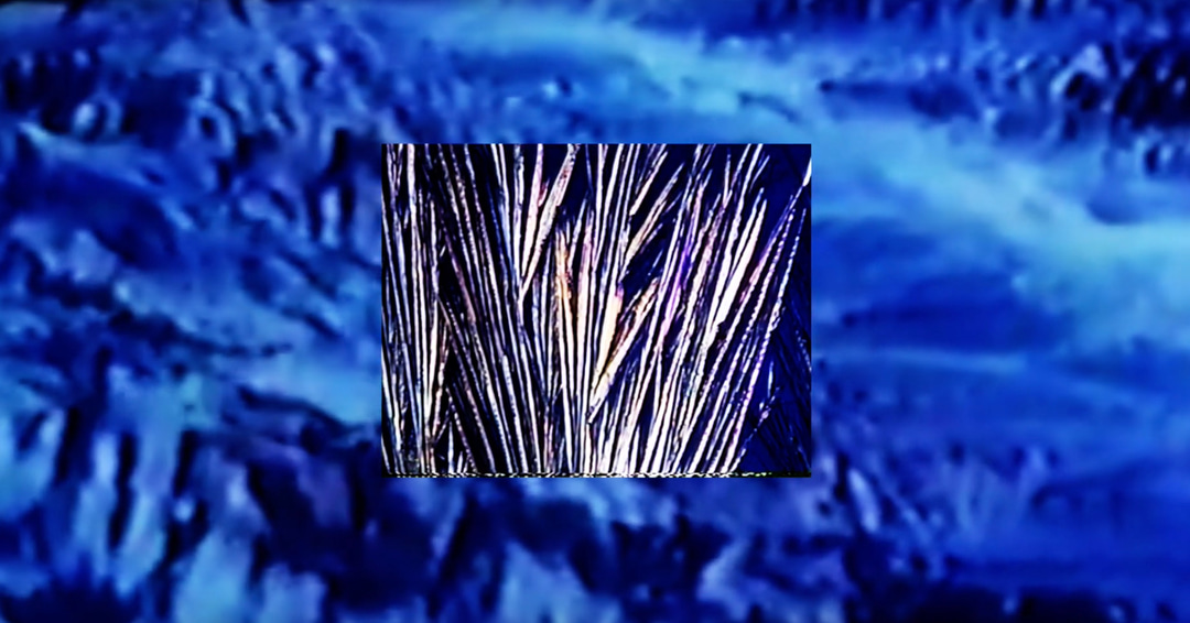 Photo of set Upsammy: 'Branches On Ice'.