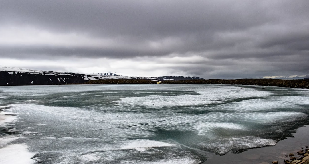 Photo of set Growth.