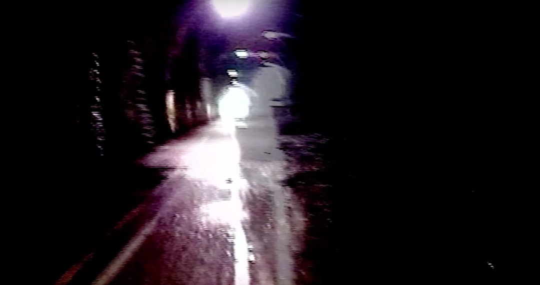 Photo of set Best Available Technology: 'Bone 2 Brick'.