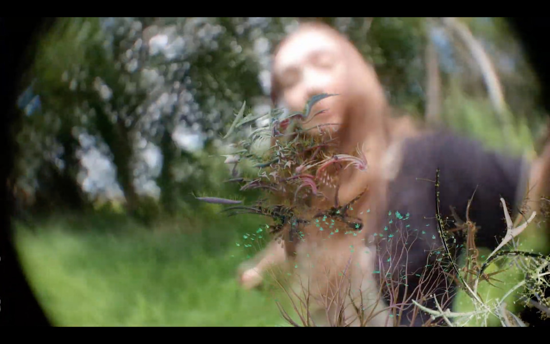 Photo of set E L L E: ‘Yowl’.