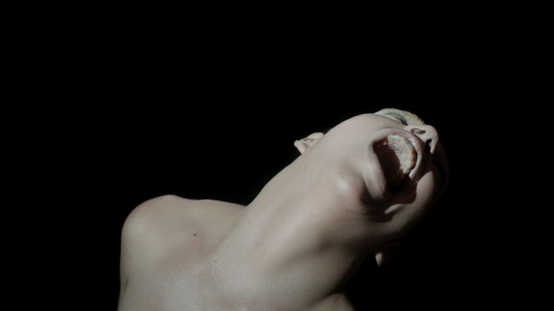 Photo of set Objekt: 'Dazzle Anew'.