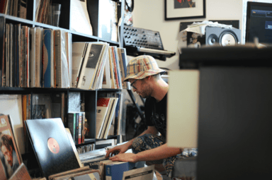 Photo of set Collections: Budgie.