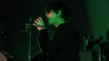 Photo of set Panda Bear.