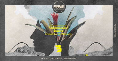 Photo of set Elusive.