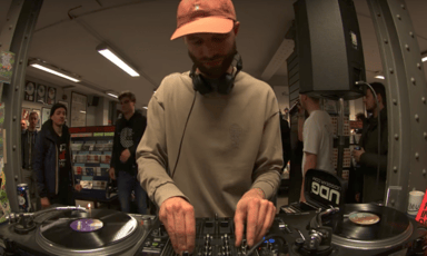 Photo of set Animal (Natural Sciences).