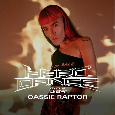 Photo of set Hard Dance 084: Cassie Raptor.