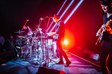 Photo of set Dolphin.