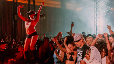 Photo of set Miss Bashful X DBDD.