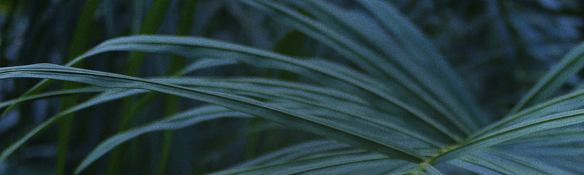 Flyer for event Los Angeles: 5 Chuckles, Jamma-Dee, Pink Siifu, Giovanni Marks, Ahwlee & Pie2K.